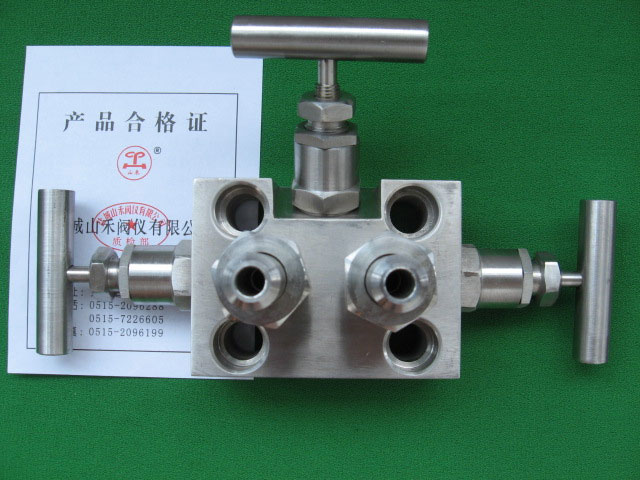 Three valve manifold - type B