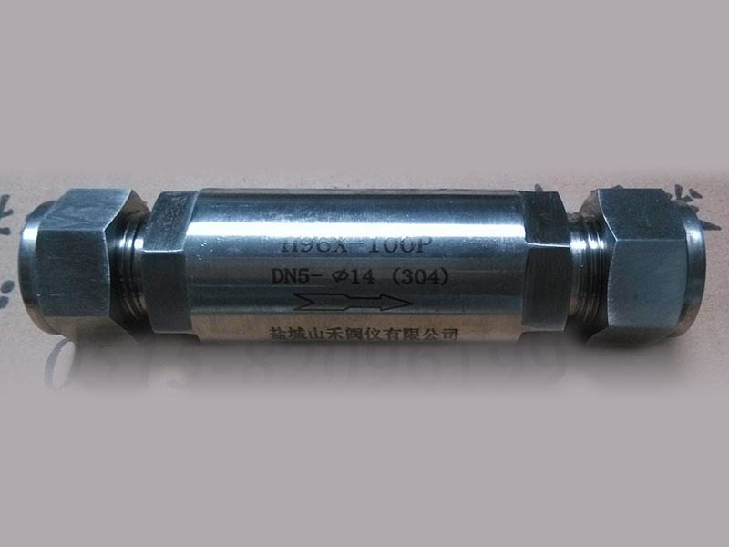 H92X-320P-320 Ferrule check valve